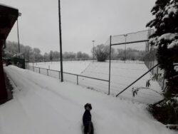 Cafd47b0 4156 4192 be35 8629b1f50d7f 1